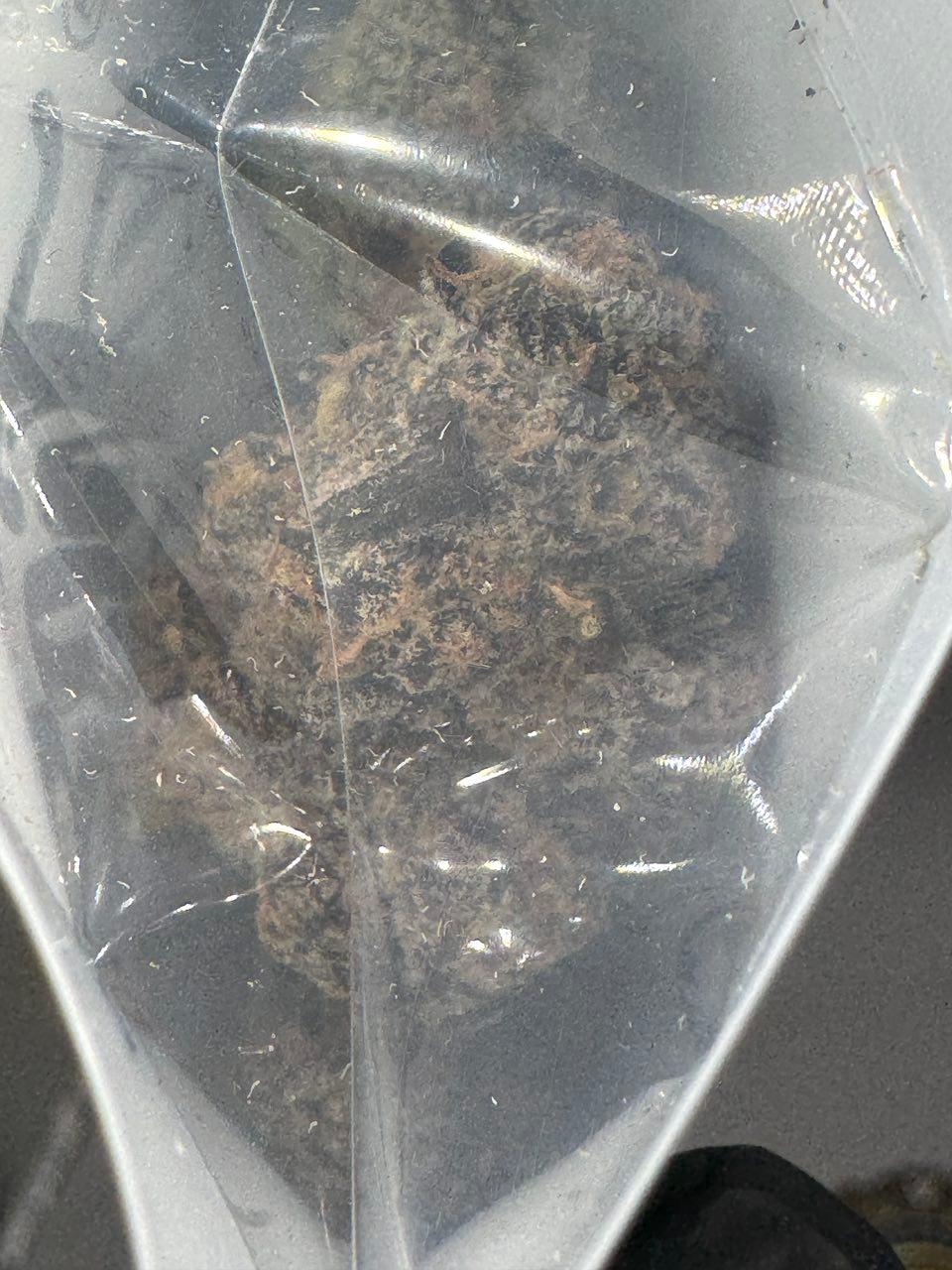 Buy Jungle Boys Cannabis Flower 3.5G Online Jungle Boys Cannabis Flower